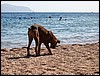 IMG_4644.JPG