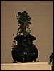 IMG_4679.JPG