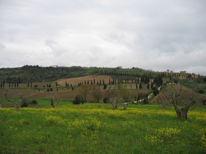 IMG_5129.JPG