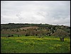 IMG_5129.JPG