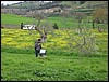 IMG_5145.JPG