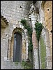 IMG_5148.JPG