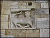 IMG_5149.JPG